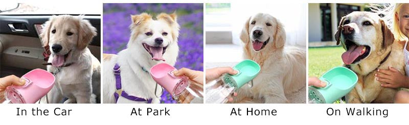 Portable Pet Water Bottle